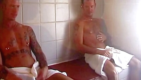 A sexy brunette gets fucked by her boyfriend and a friend